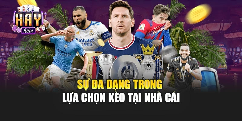 Sự đa dạng trong bộ môn và loại kèo tại haywin