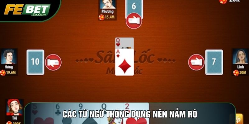 Các từ ngữ thông dụng nên nắm rõ