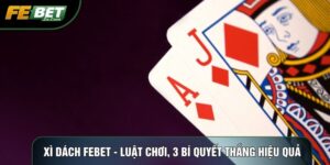 Xì dách febet