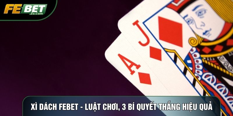 Xì dách febet